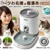 A pet water fountain with a filter designed for cats, highlighting its features such as quiet operation, easy cleaning, and efficient water filtration, with a Japanese woman and a cat nearby.